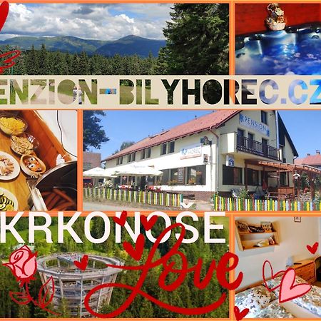 Pension Bily Horec Vrchlabi Ngoại thất bức ảnh