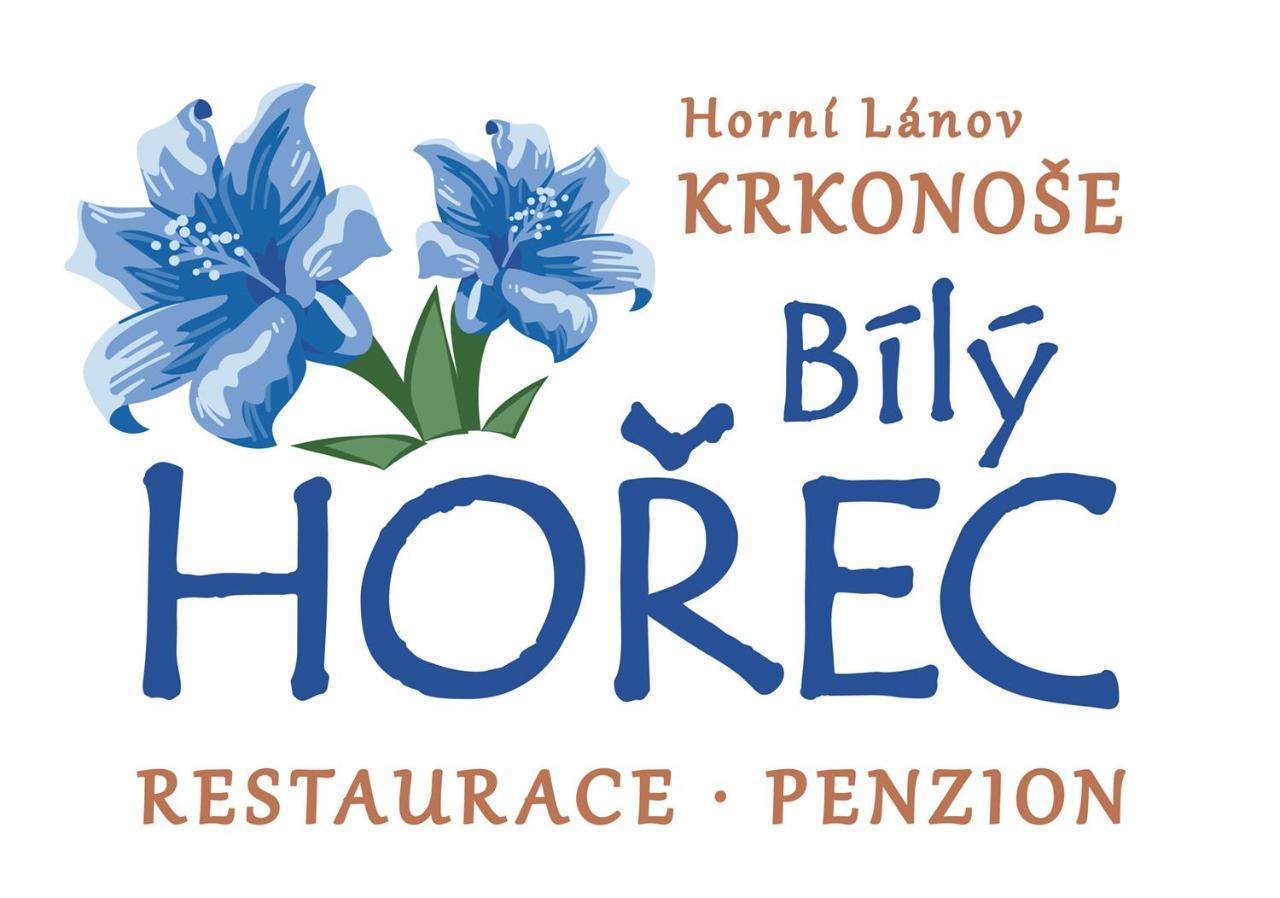 Pension Bily Horec Vrchlabi Ngoại thất bức ảnh
